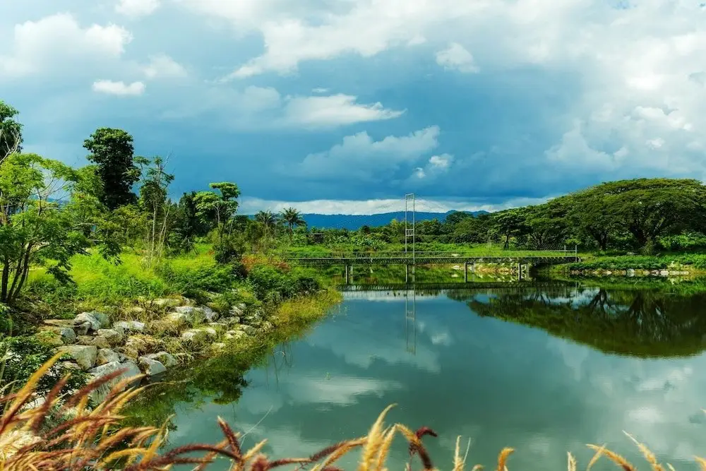 Пак-Чонг: Athena Glamping Khaoyai