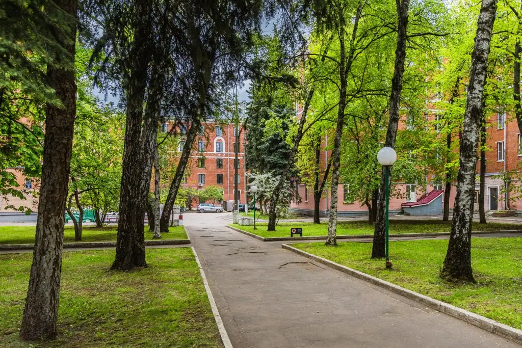Москва: Апартаменты с Мезонином рядом с Парком