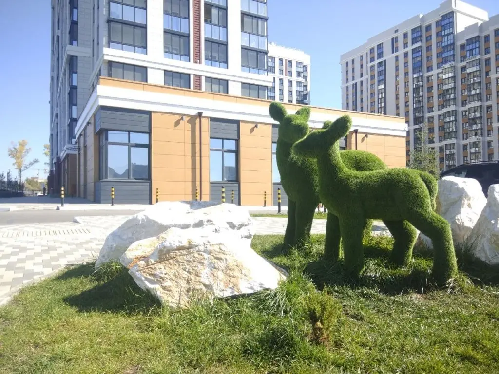 Барнаул: Квартира Лапландия,1к
