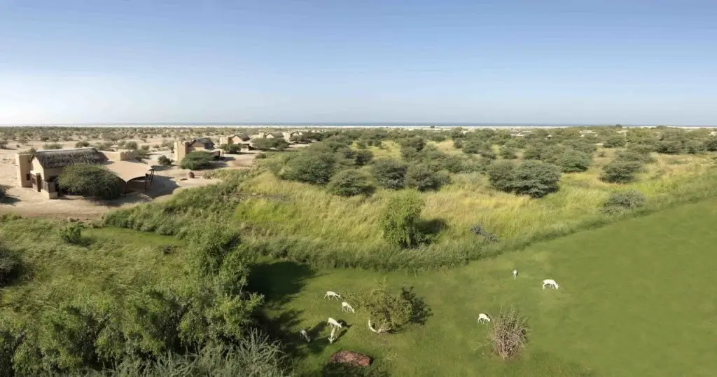 Остров Сир-Бани-Яс: Anantara Sir Bani Yas Island Resorts