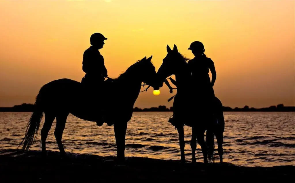 Остров Сир-Бани-Яс: Anantara Sir Bani Yas Island Resorts