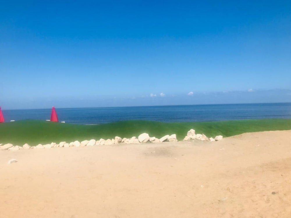 Порт-Саид: Your Home Away From Home at Porto Said Resort