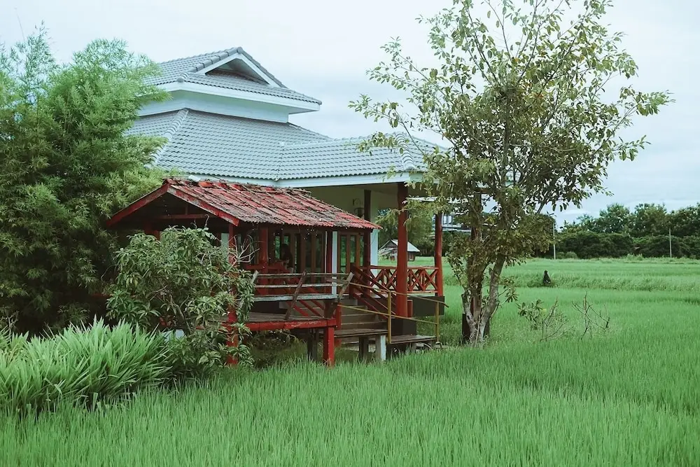 Сан-Патонг: Rabeing view Doona  Chiang Mai