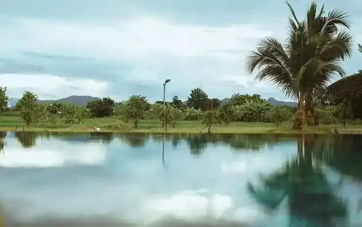 Сан-Патонг: Rabeing view Doona  Chiang Mai