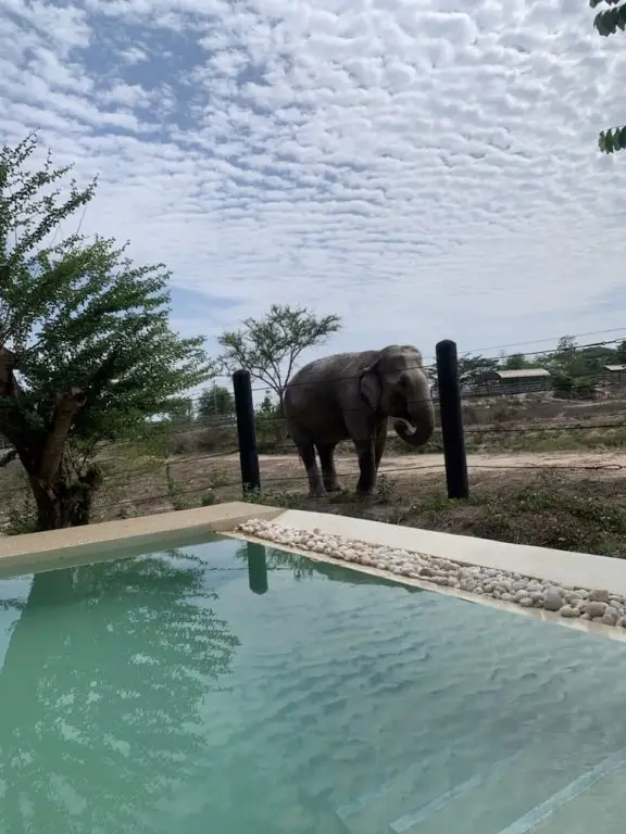 Тха-Май-Руак: Elephant View Camp