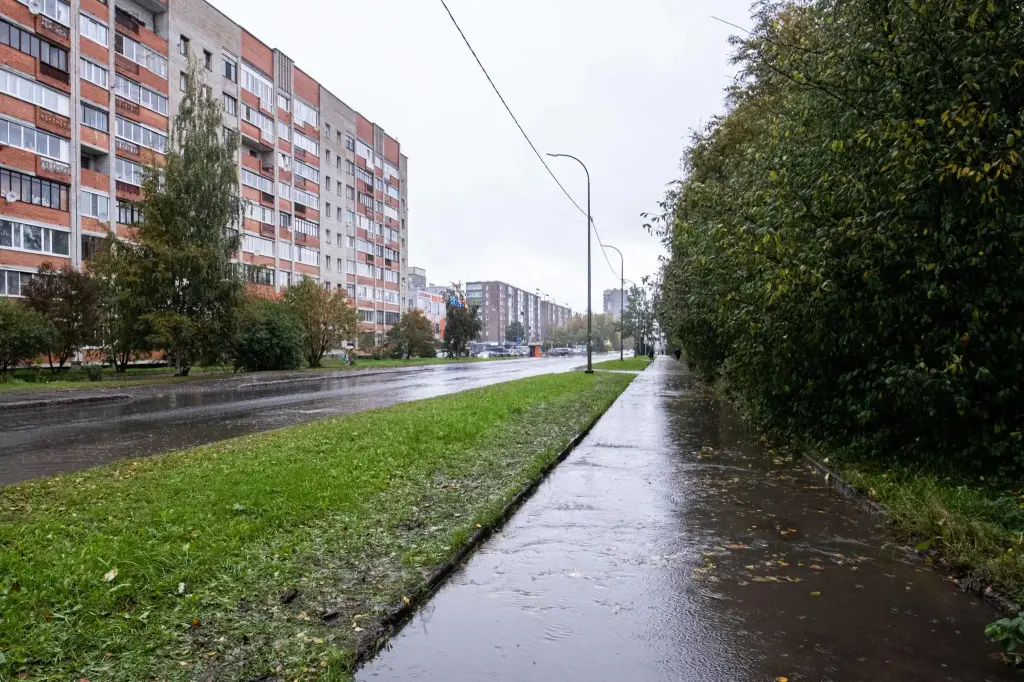 Петрозаводск: Olivinn на улице Мелентьевой