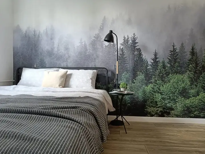 Воронеж: Квартира на Моисеева, 11