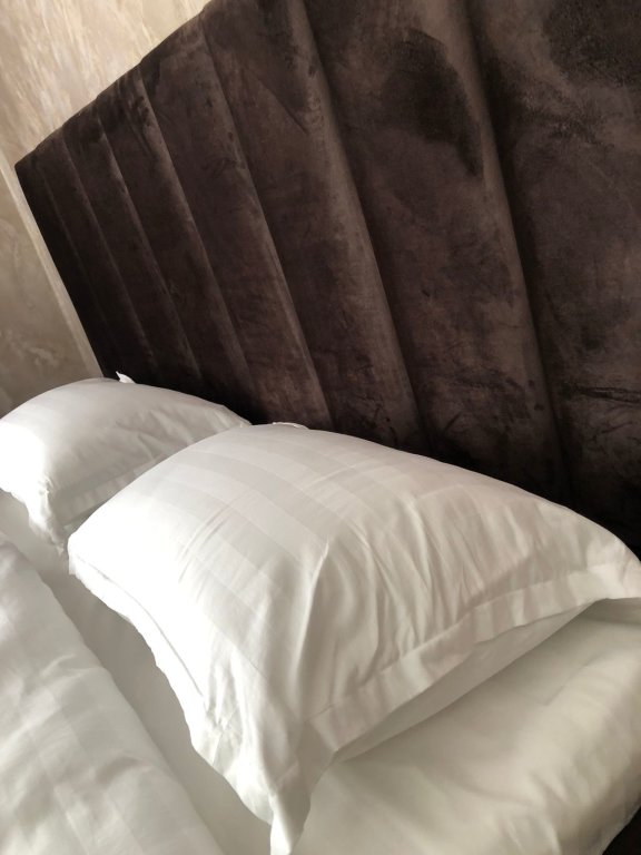 Алматы: Бутик-отель Hotel Lion Almaty