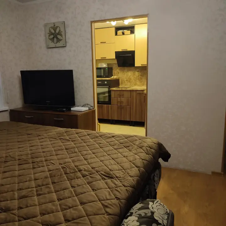 Петропавловск-Камчатский: Квартира Уютная с видом на вулканы