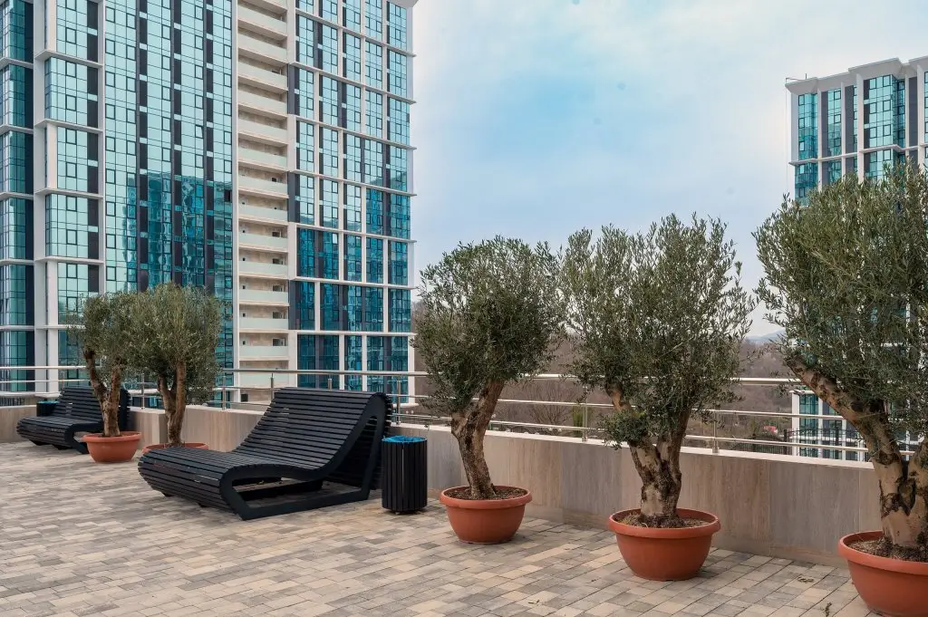 Сочи: Апартаменты Сочи Парк RED APARTMENTS Дафна