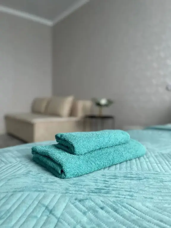 Минеральные Воды: Квартира Sutki Rent в центре Минеральных Вод