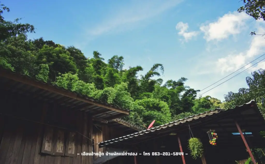Чиангмай: Homestay Maekampong