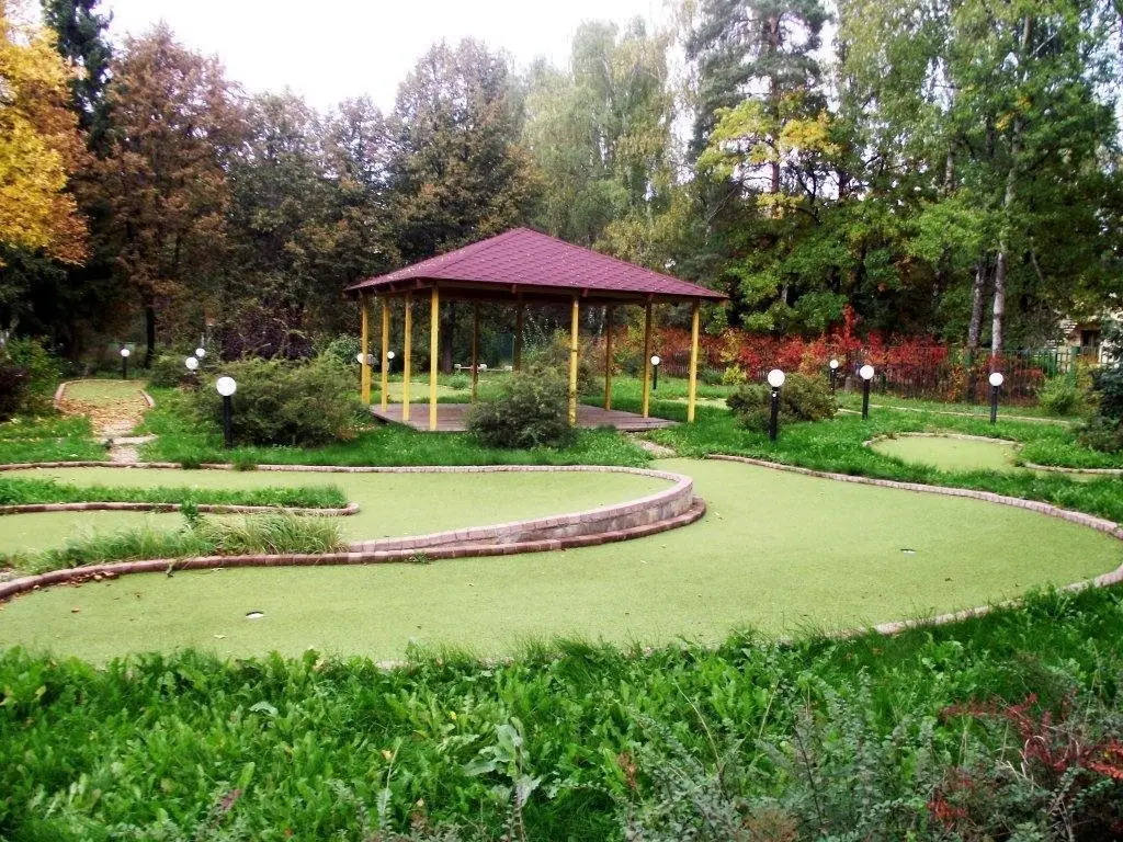 Пушкино: Sanatoriy Zelenyi Gorodok