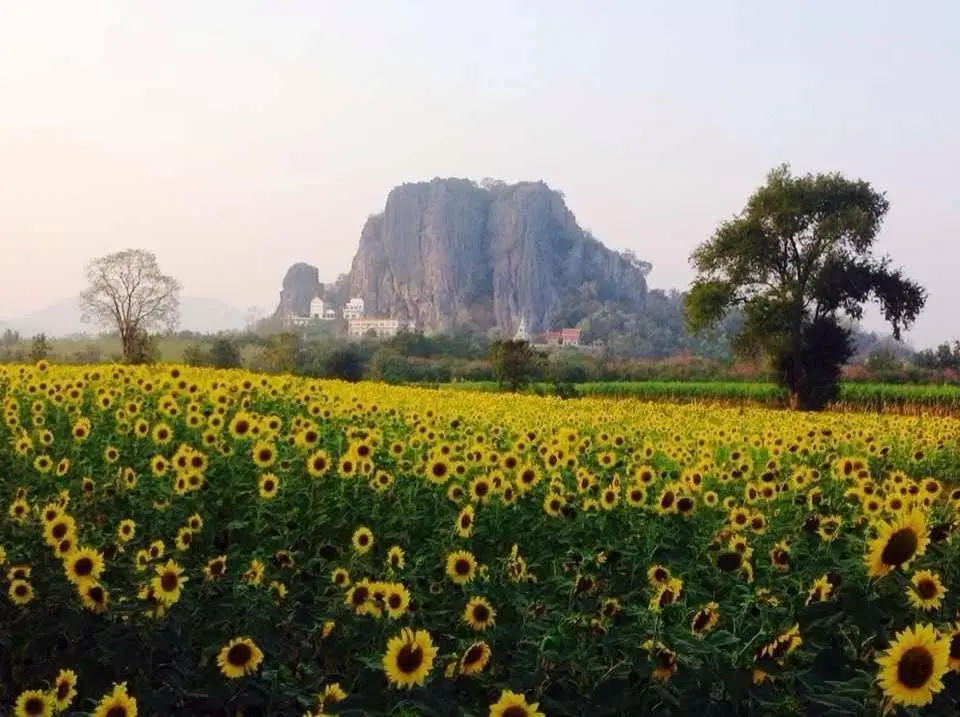 Лопбури: Pang Narai Resort