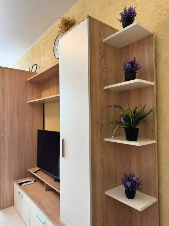 Воронеж: Апартаменты Room-Room 20-лет Октября