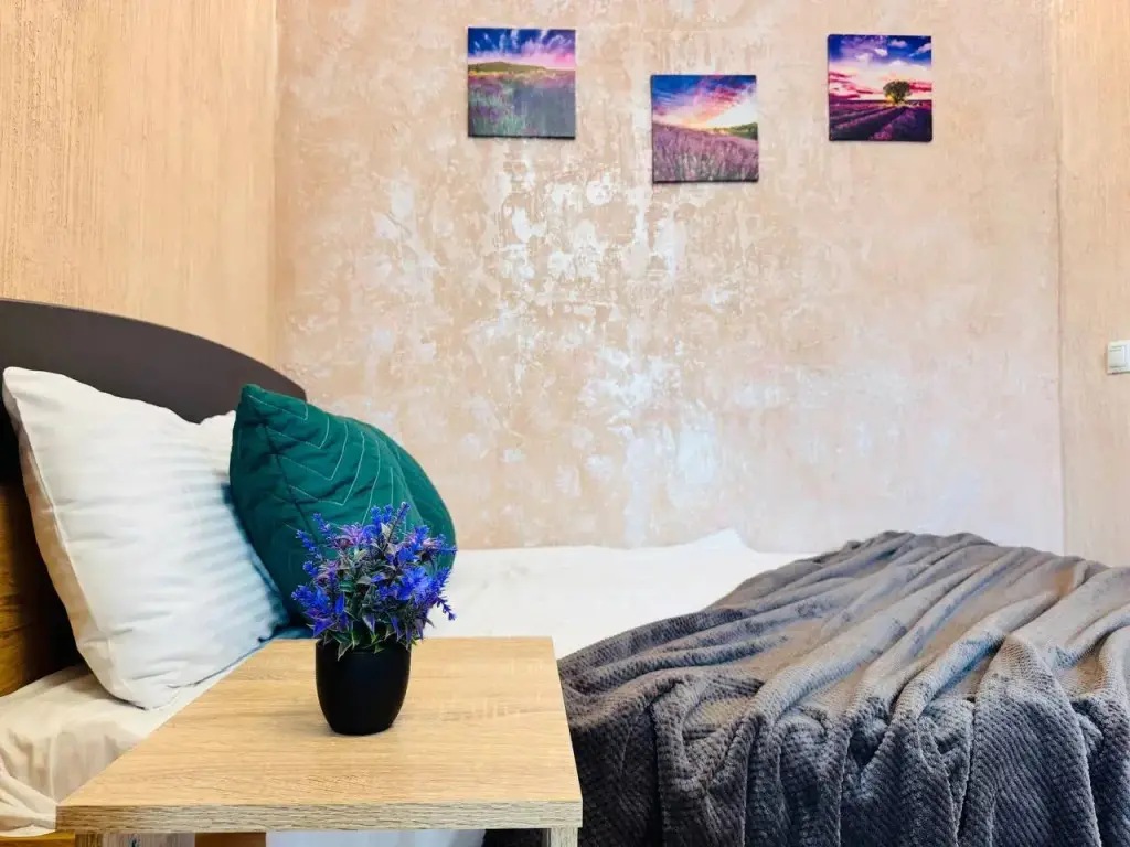 Воронеж: Апартаменты Room-Room 20-лет Октября
