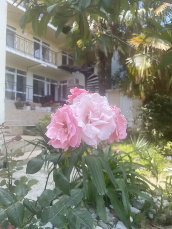 Лоо: Granat Guest House