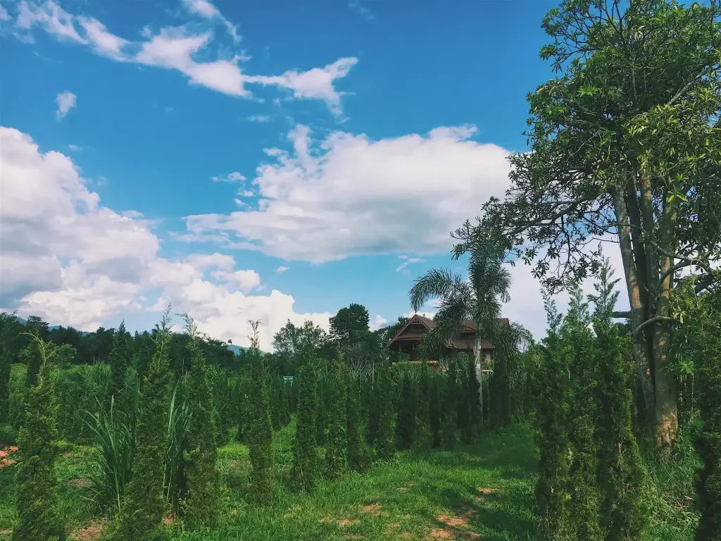 Мае-Он: Mon Phum Tawan Chiangmai