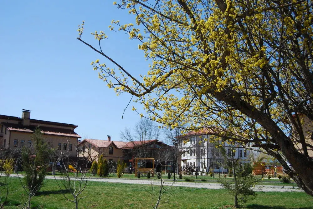 Дадай: İksir Resort Town