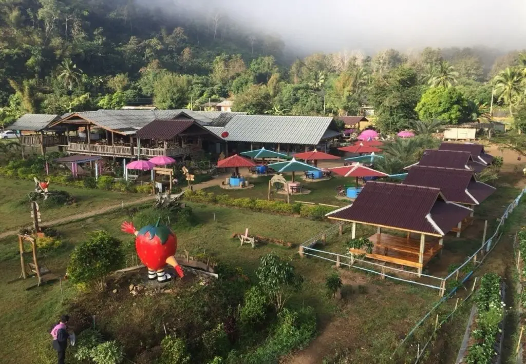 Сирача: Wongwan Farm