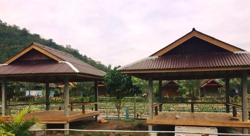 Wongwan Farm — фото 1