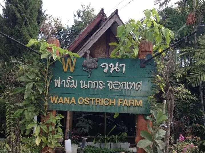 Чианграй: Wana Horse And Ostrich Farm Tent