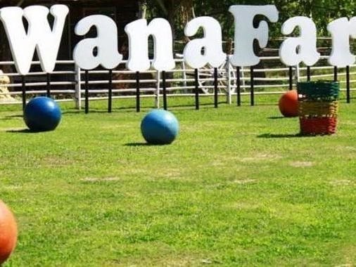 Чианграй: Wana Horse And Ostrich Farm Tent