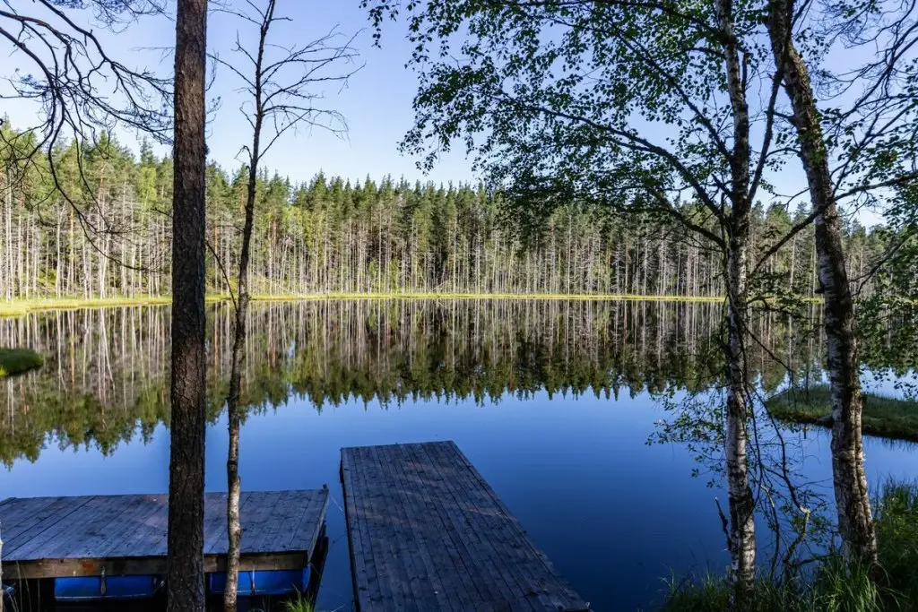 Рощино: База отдыха Forest Lake