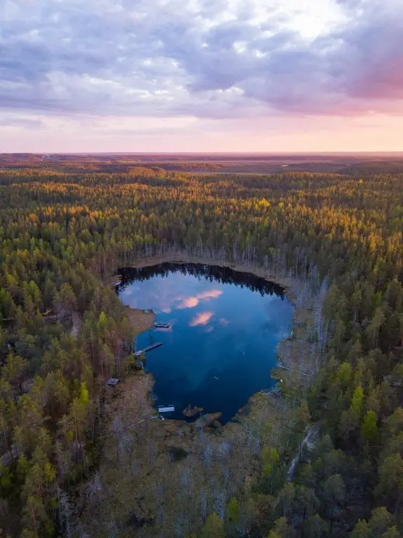 Рощино: База отдыха Forest Lake