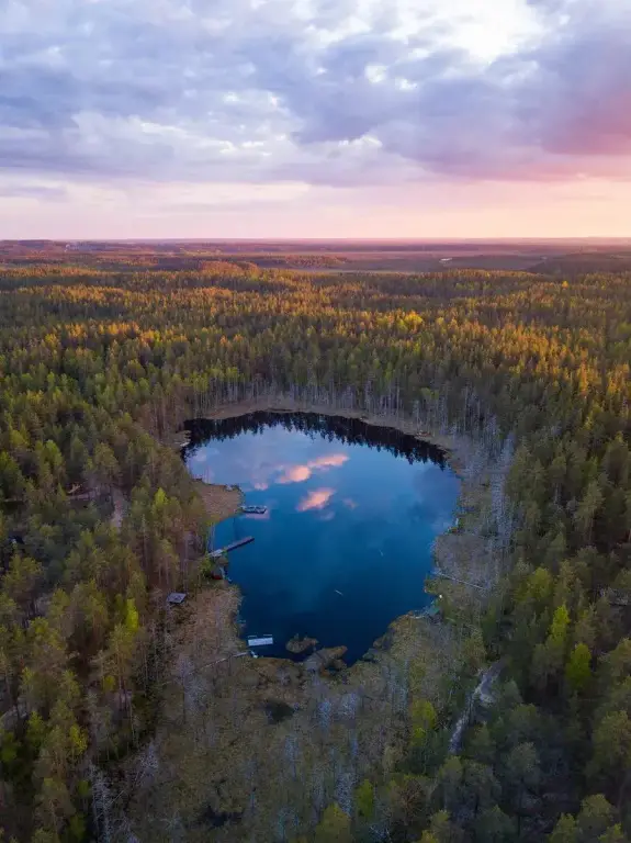 Рощино: База отдыха Forest Lake