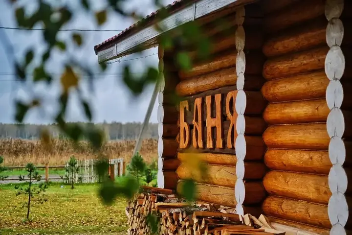 Нижние Котицы: Гостевой дом Дикий Гусь