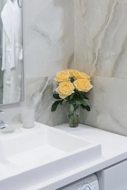 Сочи: Апартаменты Двухместные в отеле South Mirror