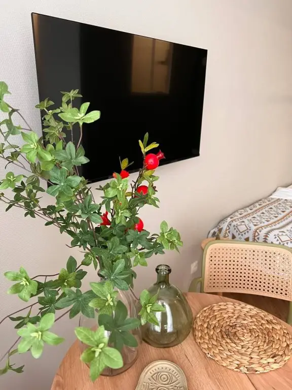 Новороссийск: Апартаменты  Your Eco relax Apart