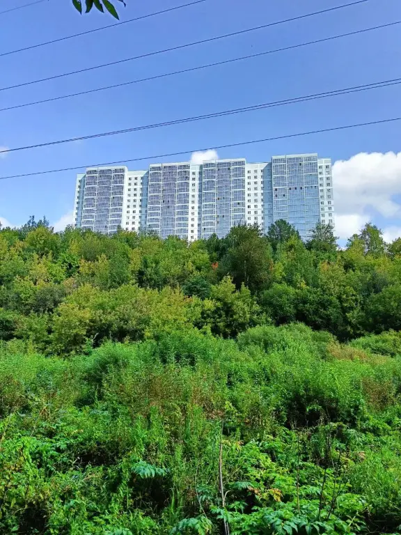 Пермь: Квартира на Городских горках