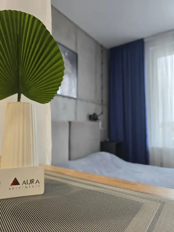 Владивосток: Апартаменты Aura