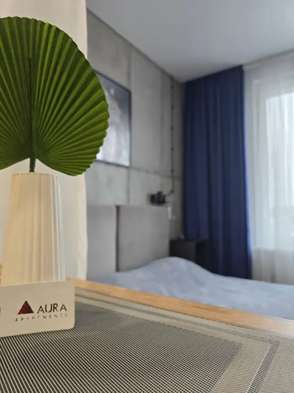 Владивосток: Апартаменты Aura