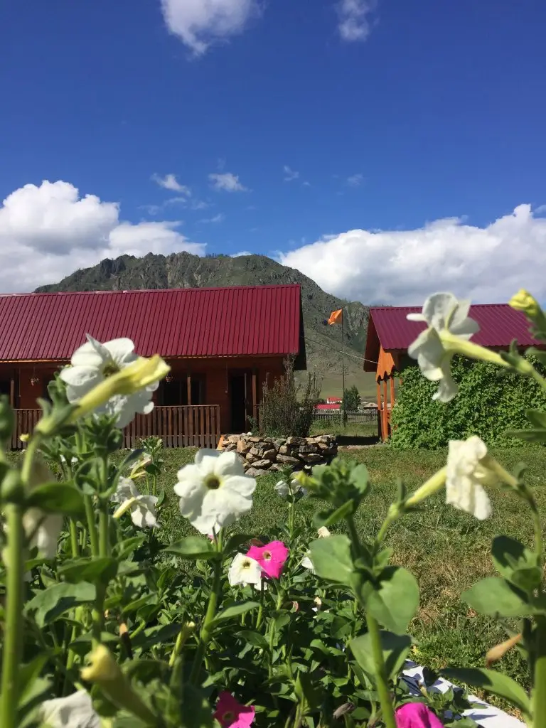 Karakol: Алтайский вдворик