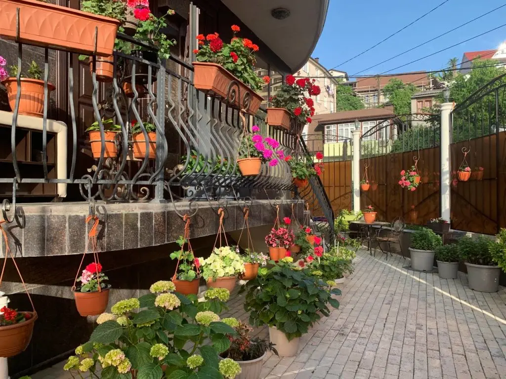 Сочи: Апартаменты Bridge House Sochi