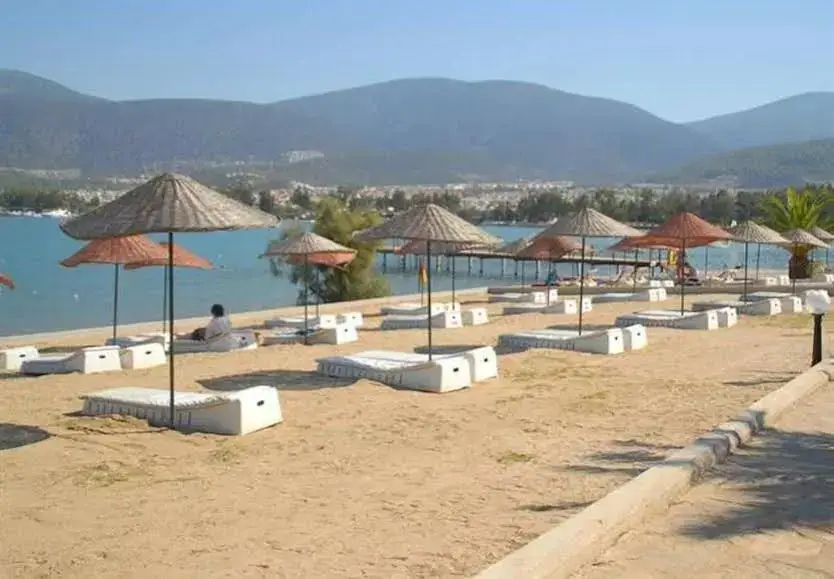 Безбюк: Patio Beach Club