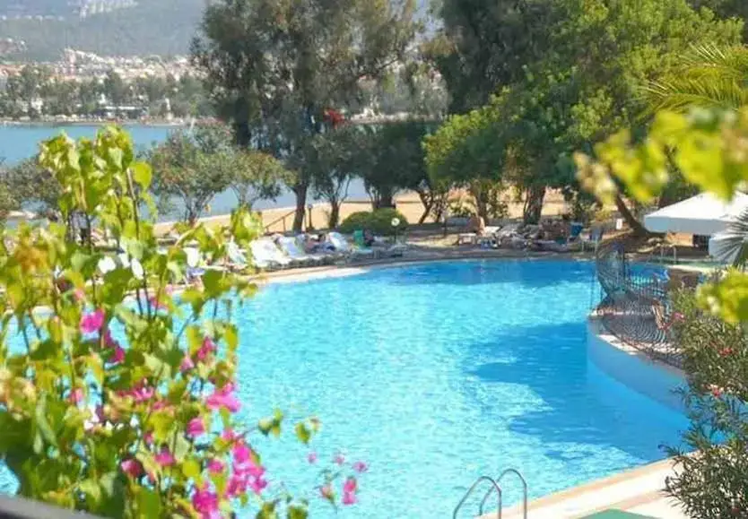 Безбюк: Patio Beach Club
