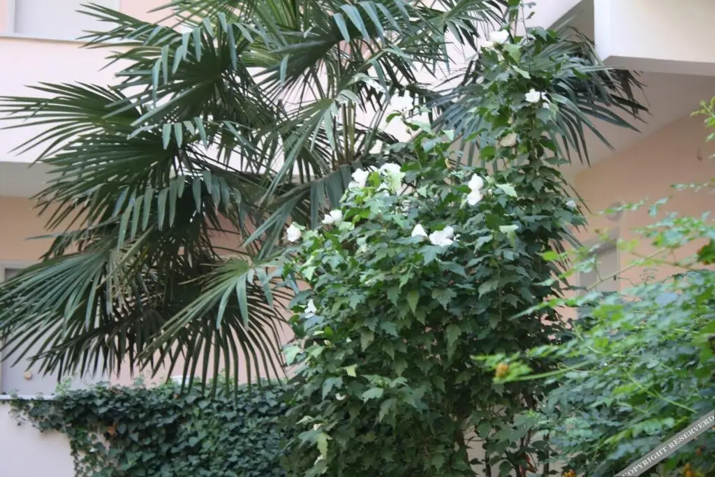 Лапсеки: Orçin Apart Hotel