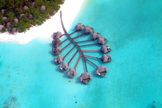 Атолл Баа: Coco Palm Dhunikolhu Maldives