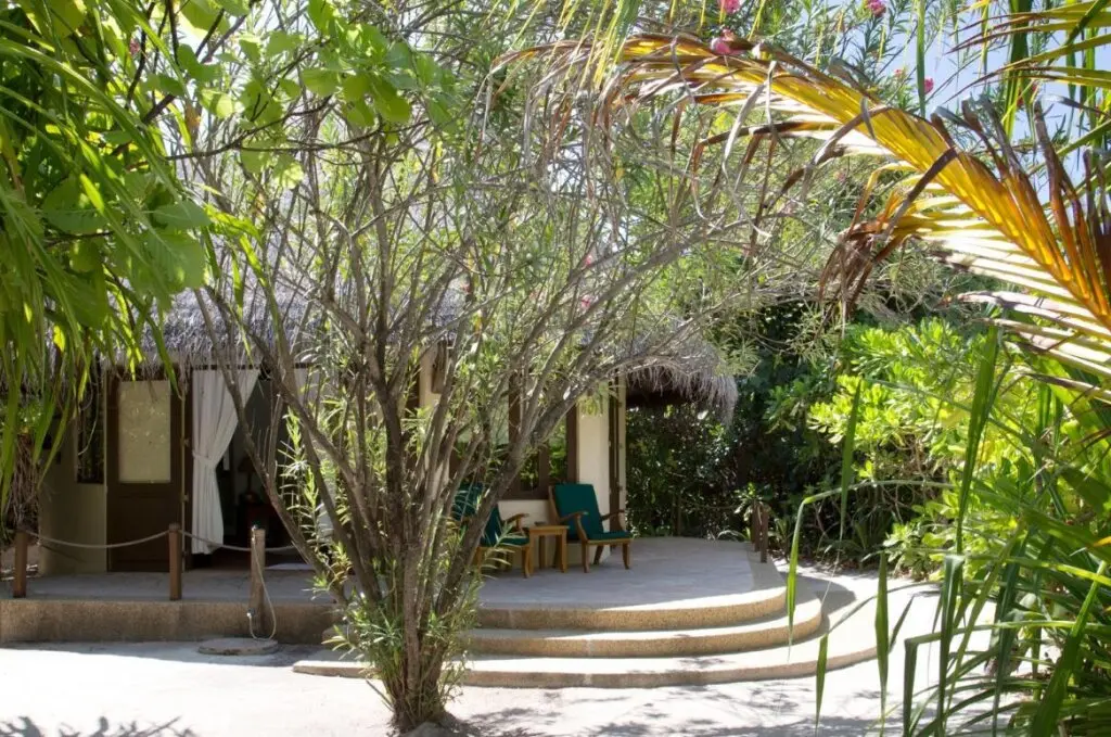 Атолл Баа: Coco Palm Dhunikolhu Maldives