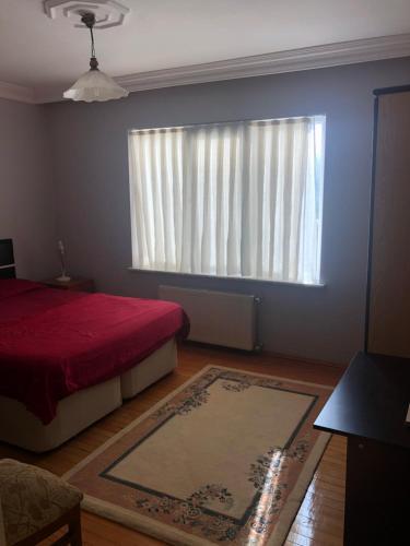 Стамбул: Shared House&Private Room