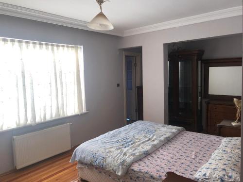 Стамбул: Shared House&Private Room