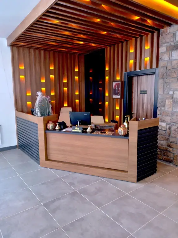 Сарыкамыш: Отель Metinoğlu Pansiyon (Chalet Khione) Sarıkamış