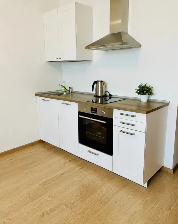Санкт-Петербург: Апартаменты Liki-Mir Apartments Английская *23