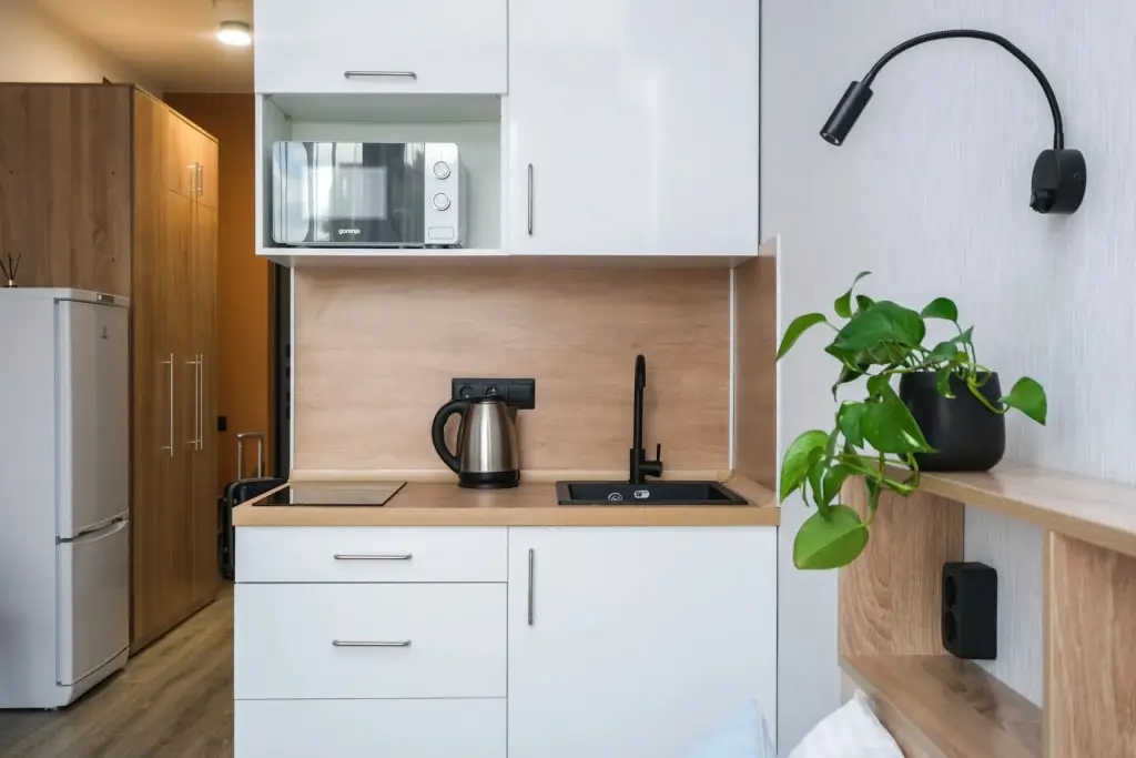 Новосибирск: Апартаменты-студия Vetka Home на Ипподромской