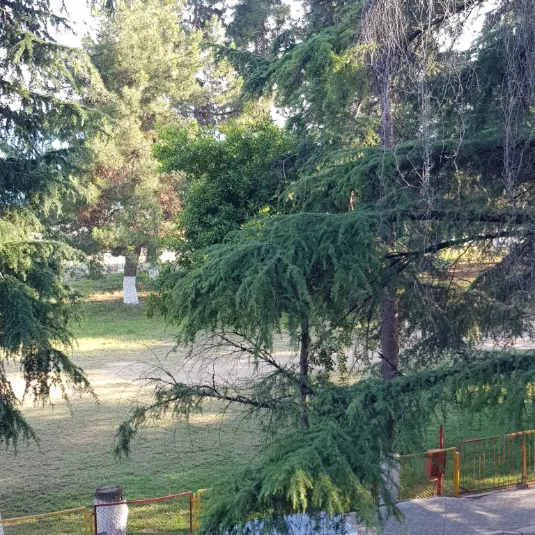 Лдзаа: Квартира на берегу моря