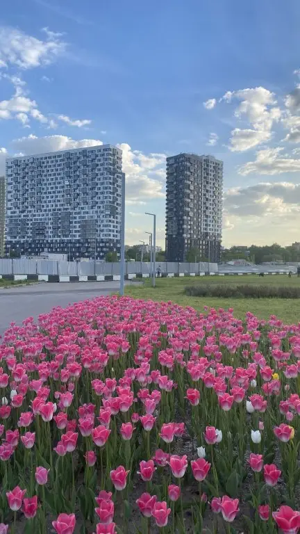 Люберцы: Квартира Евродвушка в новом доме